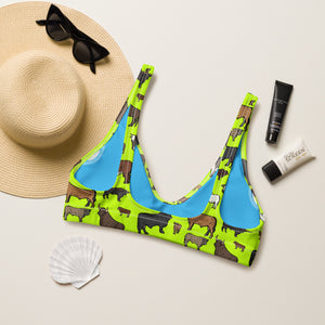 Neon Cattle Breeds Bikini Top